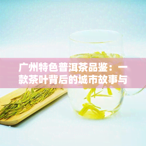 广州特色普洱茶品鉴：一款茶叶背后的城市故事与文化传承