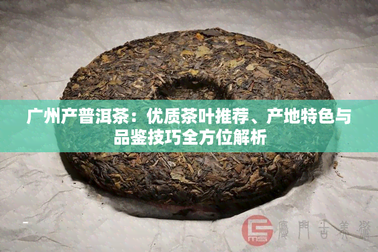 广州产普洱茶：优质茶叶推荐、产地特色与品鉴技巧全方位解析