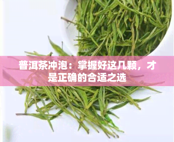 普洱茶冲泡：掌握好这几颗，才是正确的合适之选