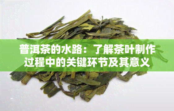 普洱茶的水路：了解茶叶制作过程中的关键环节及其意义