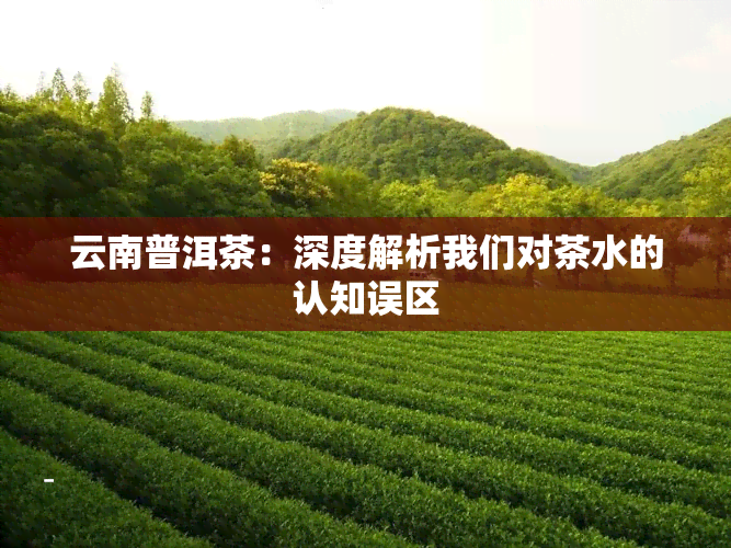 云南普洱茶：深度解析我们对茶水的认知误区