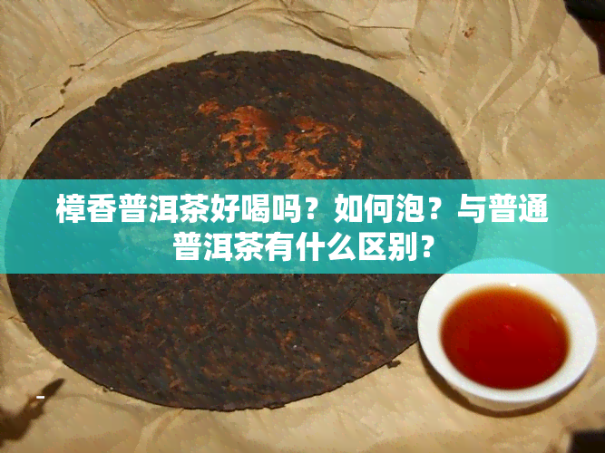 樟香普洱茶好喝吗？如何泡？与普通普洱茶有什么区别？