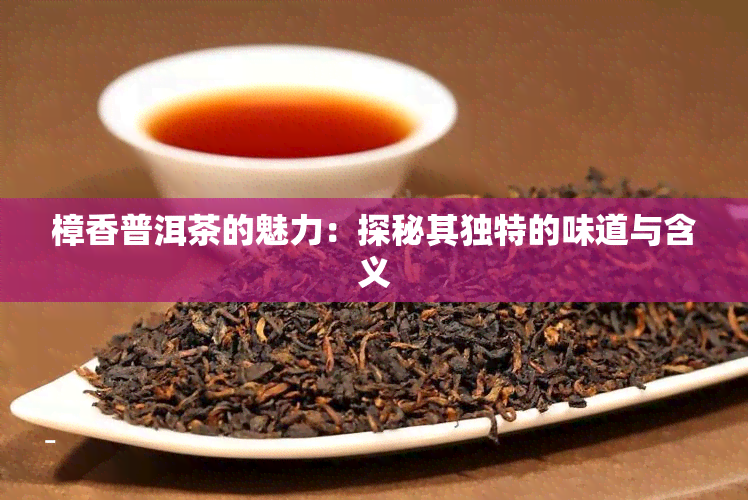 樟香普洱茶的魅力：探秘其独特的味道与含义