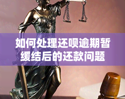 如何处理还呗逾期暂缓结后的还款问题？用户可能遇到的解决方案