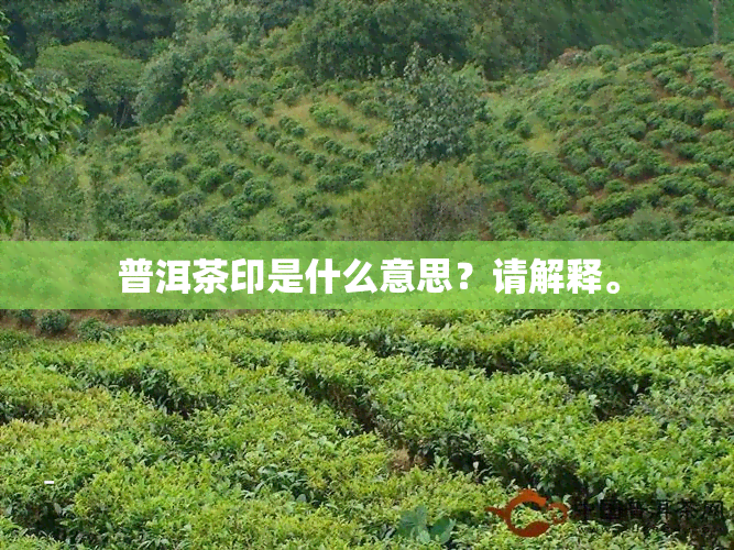 普洱茶印是什么意思？请解释。