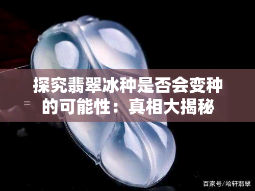 探究翡翠冰种是否会变种的可能性：真相大揭秘