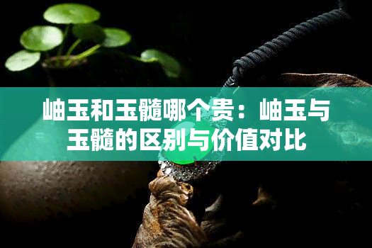 岫玉和玉髓哪个贵：岫玉与玉髓的区别与价值对比