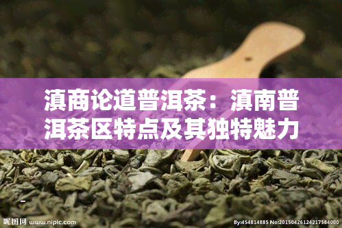 滇商论道普洱茶：滇南普洱茶区特点及其独特魅力