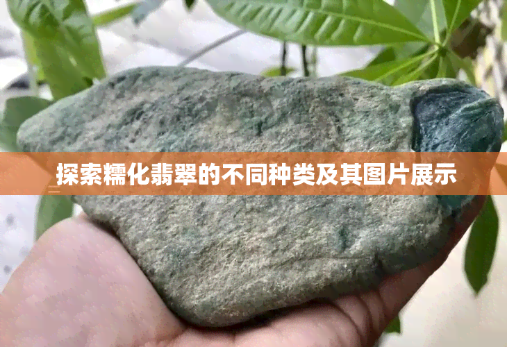  探索糯化翡翠的不同种类及其图片展示