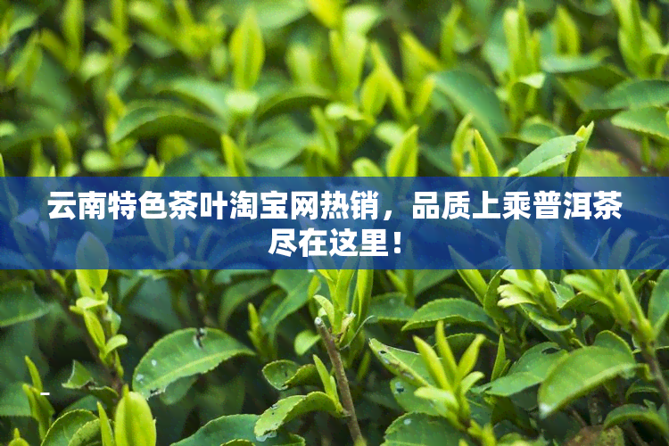 云南特色茶叶淘宝网热销，品质上乘普洱茶尽在这里！