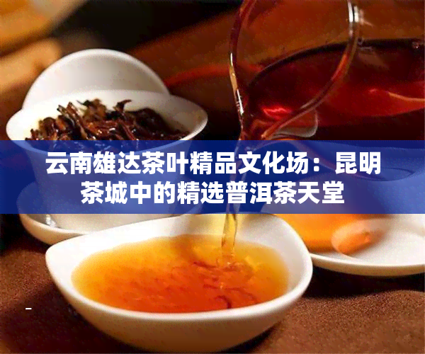 云南雄达茶叶精品文化场：昆明茶城中的精选普洱茶天堂