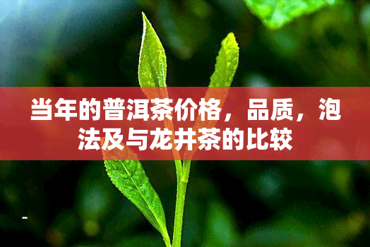 当年的普洱茶价格，品质，泡法及与龙井茶的比较