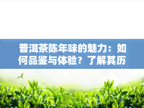 普洱茶陈年味的魅力：如何品鉴与体验？了解其历、种类和冲泡方法