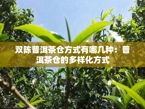 双陈普洱茶仓方式有哪几种：普洱茶仓的多样化方式