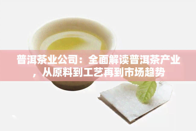 普洱茶业公司：全面解读普洱茶产业，从原料到工艺再到市场趋势