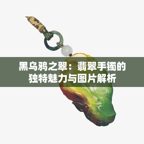 黑乌鸦之翠：翡翠手镯的独特魅力与图片解析