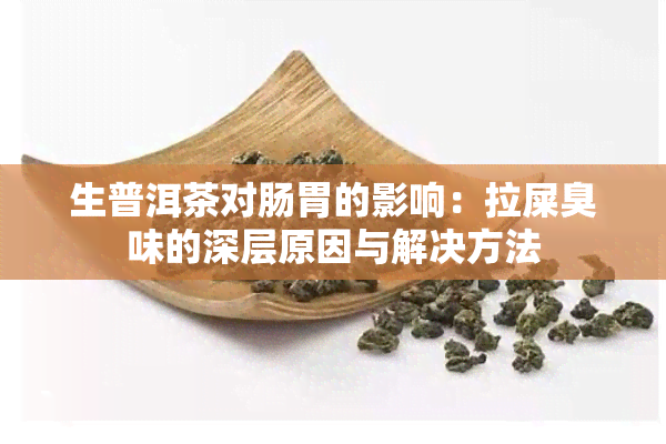 生普洱茶对肠胃的影响：拉屎臭味的深层原因与解决方法