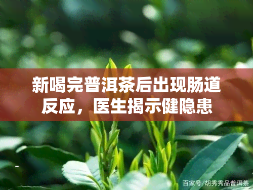 新喝完普洱茶后出现肠道反应，医生揭示健隐患