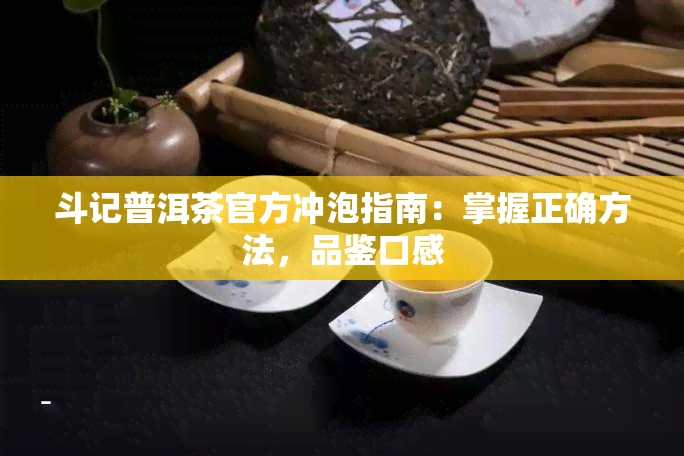 斗记普洱茶官方冲泡指南：掌握正确方法，品鉴口感