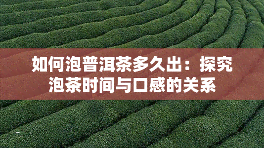 如何泡普洱茶多久出：探究泡茶时间与口感的关系