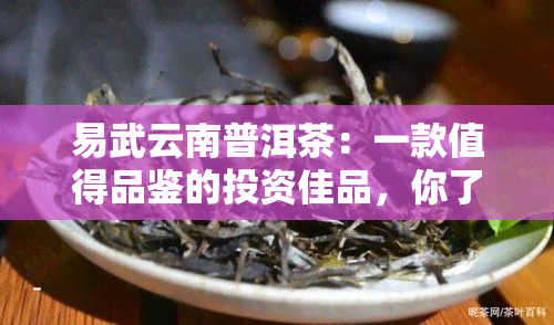 易武云南普洱茶：一款值得品鉴的投资佳品，你了解过它的最新价格吗？