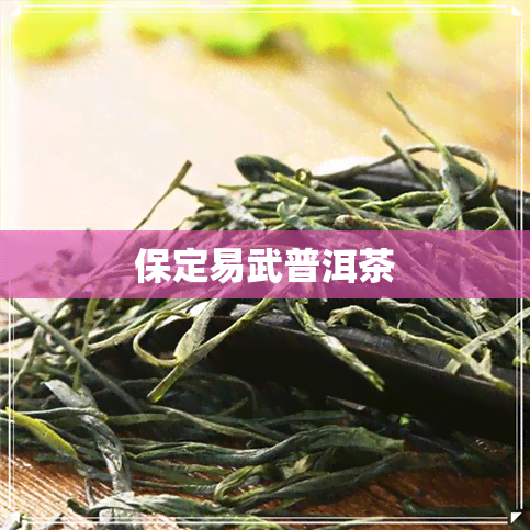 保定易武普洱茶