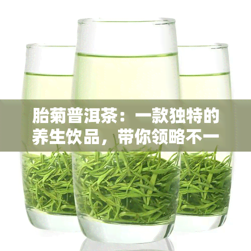 胎菊普洱茶：一款独特的养生饮品，带你领略不一样的饮茶体验