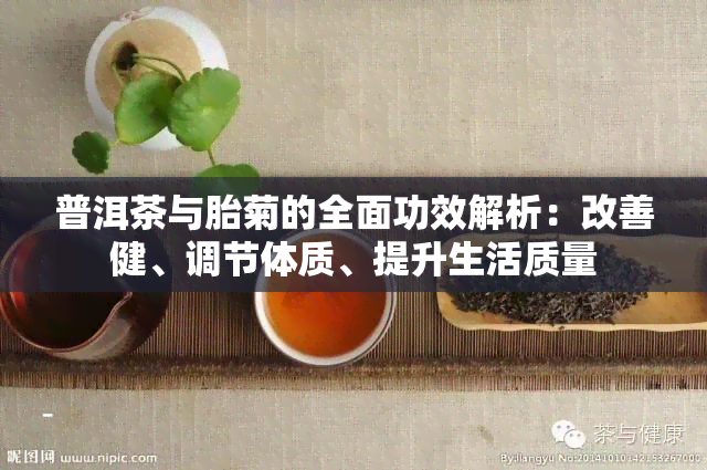 普洱茶与胎菊的全面功效解析：改善健、调节体质、提升生活质量