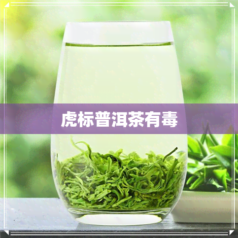 虎标普洱茶有