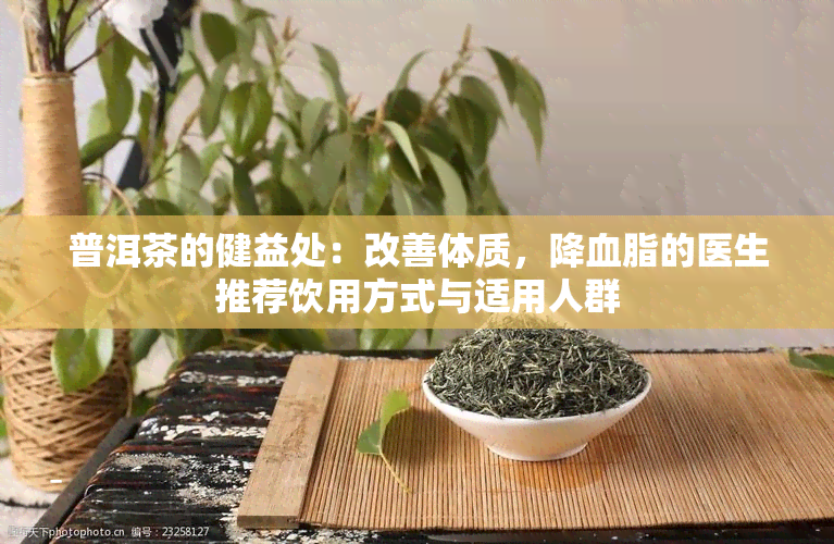 普洱茶的健益处：改善体质，降血脂的医生推荐饮用方式与适用人群