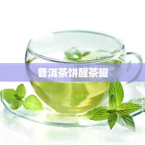 普洱茶饼醒茶罐