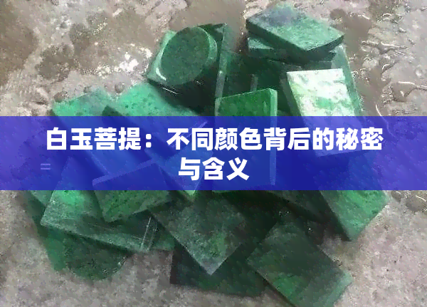 白玉菩提：不同颜色背后的秘密与含义