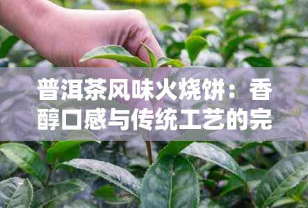 普洱茶风味火烧饼：香醇口感与传统工艺的完美融合