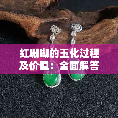 红珊瑚的玉化过程及价值：全面解答您的疑问