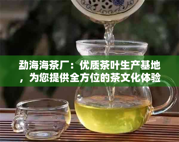 勐海海茶厂：优质茶叶生产基地，为您提供全方位的茶文化体验