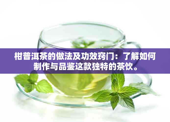 柑普洱茶的做法及功效窍门：了解如何制作与品鉴这款独特的茶饮。