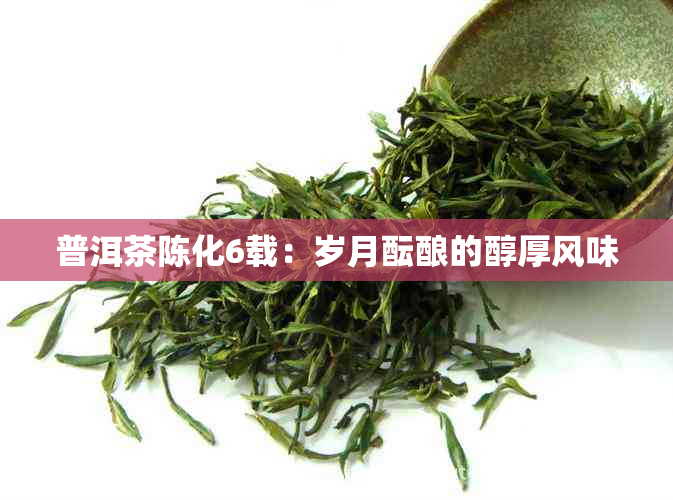 普洱茶陈化6载：岁月酝酿的醇厚风味