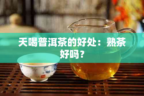 天喝普洱茶的好处：熟茶好吗？