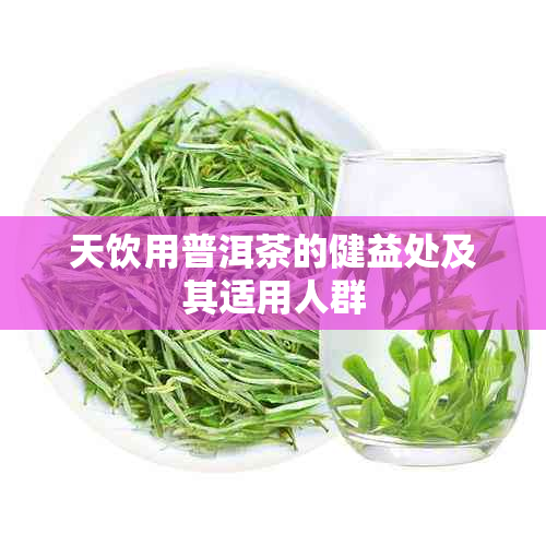 天饮用普洱茶的健益处及其适用人群