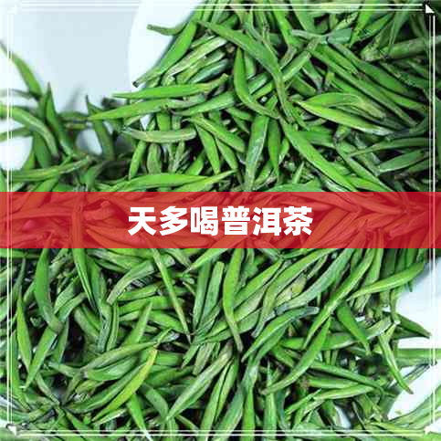 天多喝普洱茶