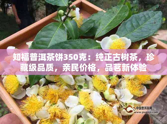 知福普洱茶饼350克：纯正古树茶，珍藏级品质，亲民价格，品茗新体验