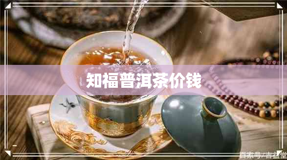 知福普洱茶价钱