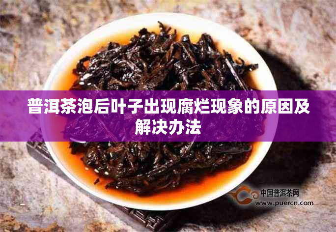 普洱茶泡后叶子出现腐烂现象的原因及解决办法