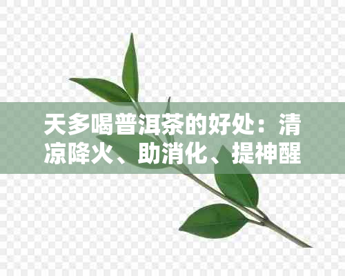 天多喝普洱茶的好处：清凉降火、助消化、提神醒脑、减肥瘦身。