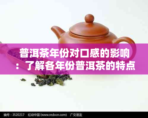 普洱茶年份对口感的影响：了解各年份普洱茶的特点与品鉴方法