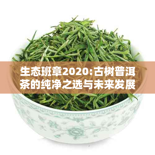 生态班章2020:古树普洱茶的纯净之选与未来发展