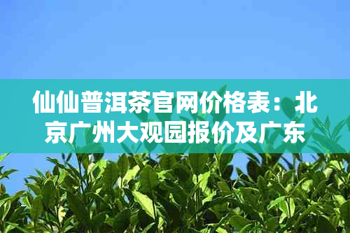 仙仙普洱茶官网价格表：北京广州大观园报价及广东公司信息