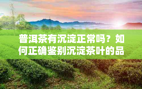 普洱茶有沉淀正常吗？如何正确鉴别沉淀茶叶的品质？