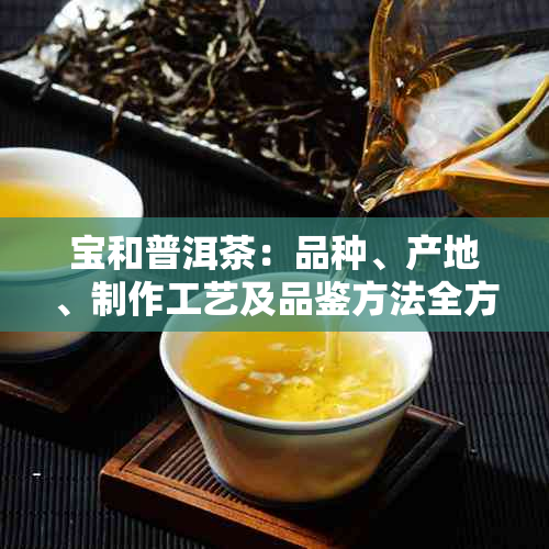 宝和普洱茶：品种、产地、制作工艺及品鉴方法全方位解析