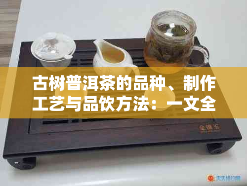 古树普洱茶的品种、制作工艺与品饮方法：一文全面了解这种独特的茶